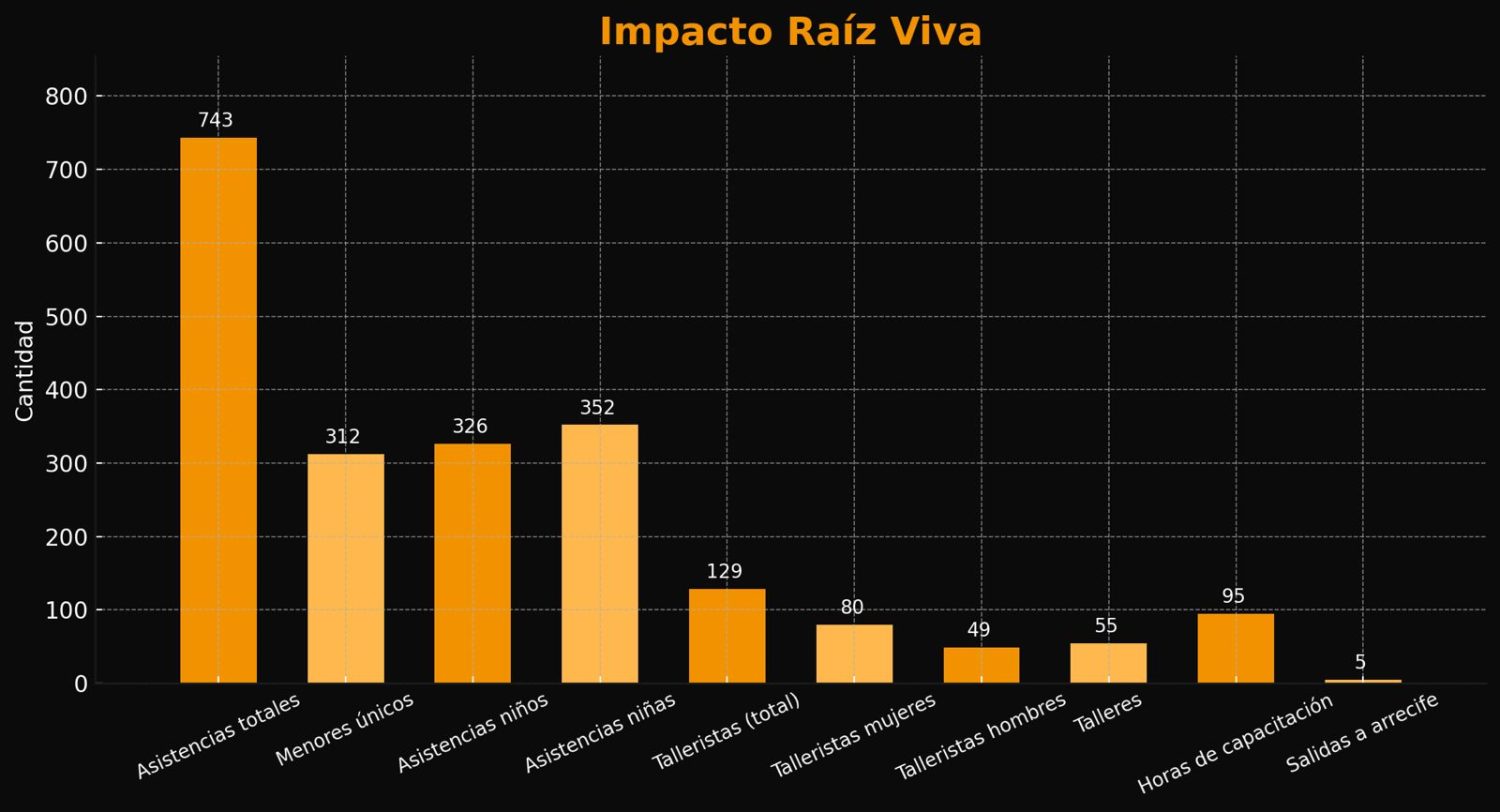 Impacto Raíz Viva